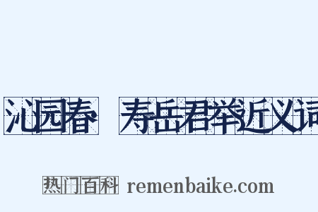 沁园春·寿岳君举近义词是什么意思的图片